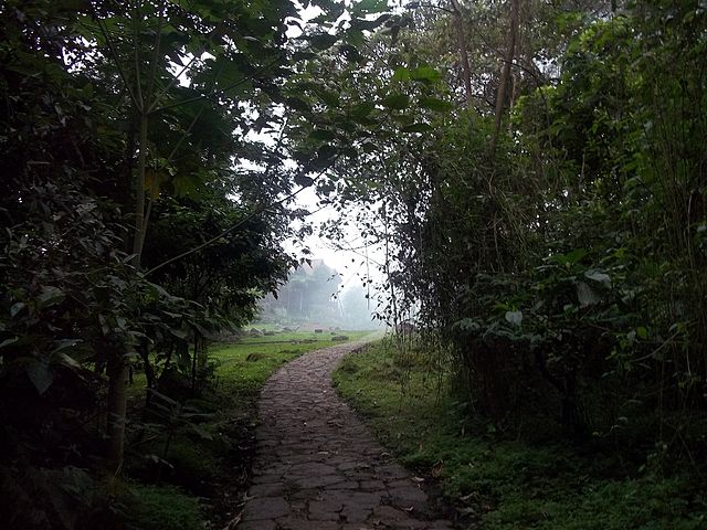 Trekking en Colombia- Chicaque - Sendero Colonial