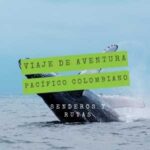 viaje-de-aventura-pacifico-colombiano-avistamiento-de-ballenas