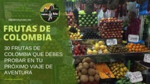 30 Frutas de Colombia Que Debes Probar En Tu Próximo Viaje De Aventura