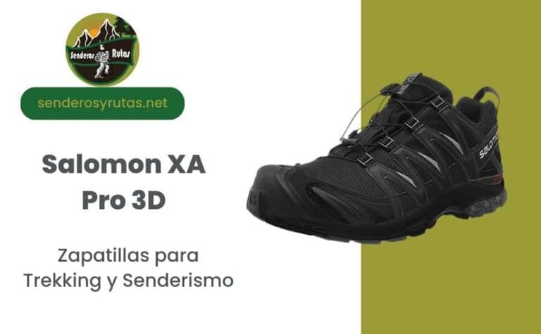 Tienda Senderos y Rutas: Zapatillas para trekking y Senderismo Salomon XA Pro 3D Gore-Tex